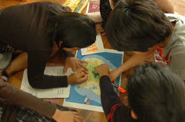 サンゴとサンゴ礁の基礎知識を伝えるYes Noクイズ