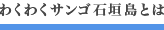 わくわくサンゴ石垣島とは